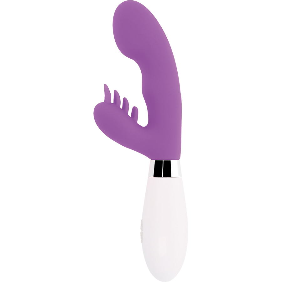 Lucido - Coniglio Elvis Viola
