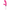 Lucido - Jackson Rabbit Pink