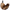 Darkness - Coda Naturale Con Tappo Anale In Silicone 10 Cm