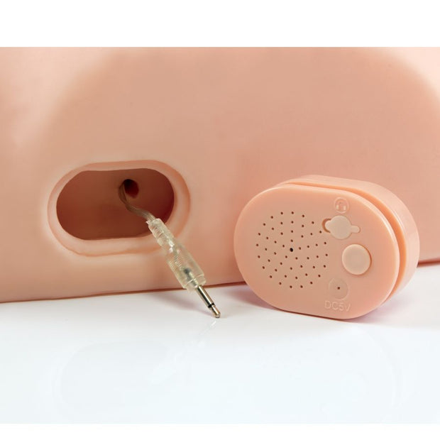 Pdx Maschio - Interattivo Fottilo Sciocco