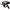 Imbracatura Attrazione - Gregory Hollow Rnes Con Vibratore 16,5 Cm -O- 4,3 Cm