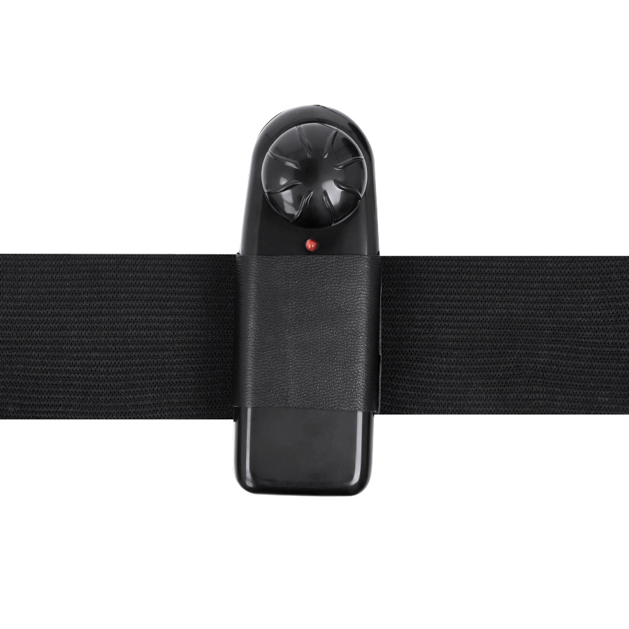Imbracatura Attrazione - Gregory Hollow Rnes Con Vibratore 16,5 Cm -O- 4,3 Cm