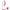 Lucido - Jackson Rabbit Pink
