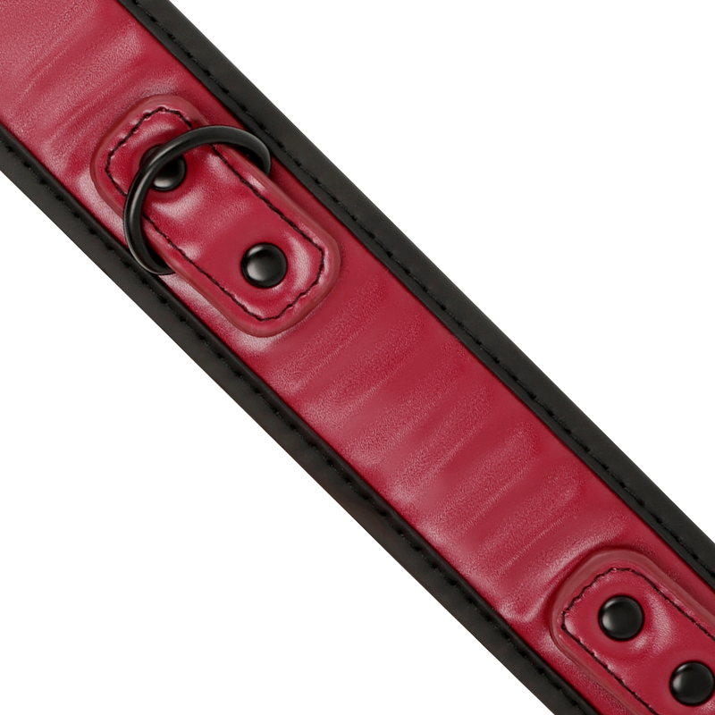 Fetish Submissive Dark Room - Collana Con Catena Fodera In Neoprene